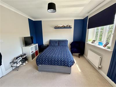 Picture 14